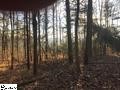 0 Limestone Springs Pickens, SC 29671 - Photo 8 of 16 Gallery Image 8