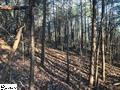 0 Limestone Springs Pickens, SC 29671 - Photo 10 of 16 Gallery Image 10