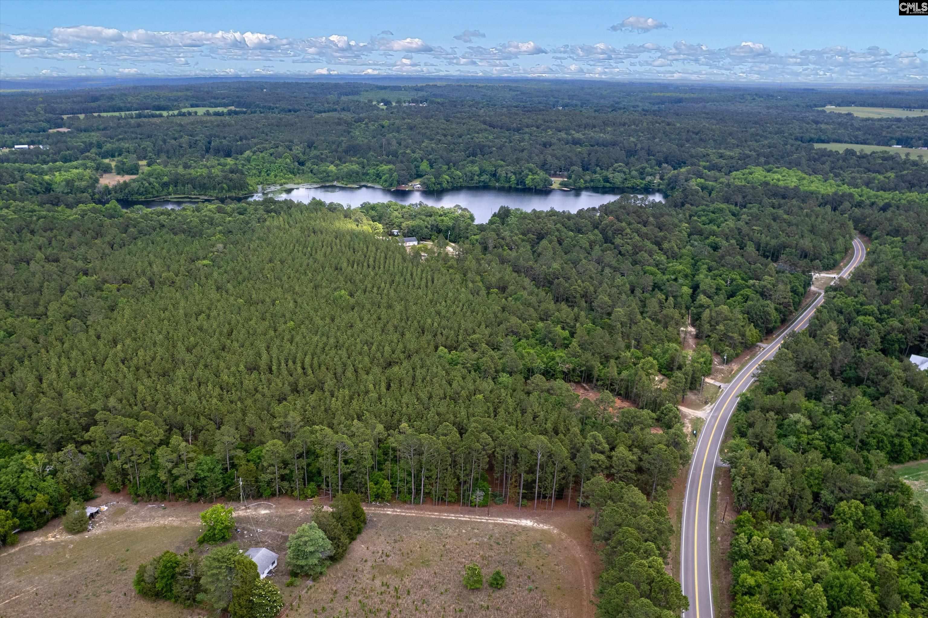 0 Pond Branch Road Gilbert, SC 29054 - Photo 4 of 12