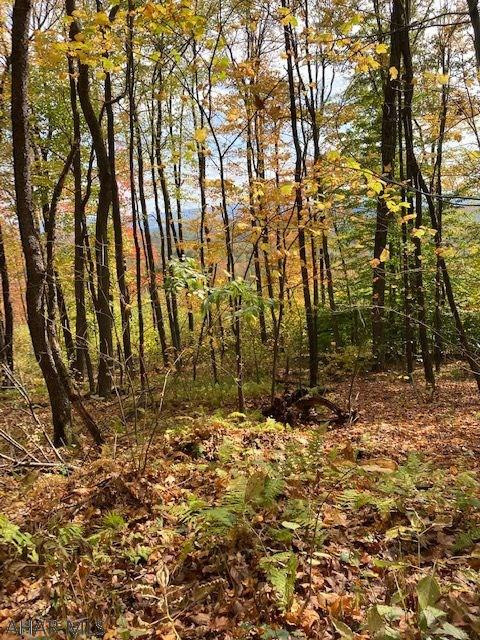 652 Mountain Road Alum Bank, PA 15521 - Photo 10 of 10 Gallery Image 10