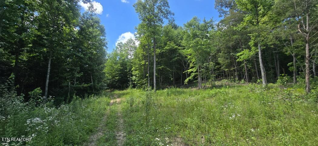 925 Anderson Hollow Road Huntsville, TN 37756 - Photo 6 of 9 20260615_145730
