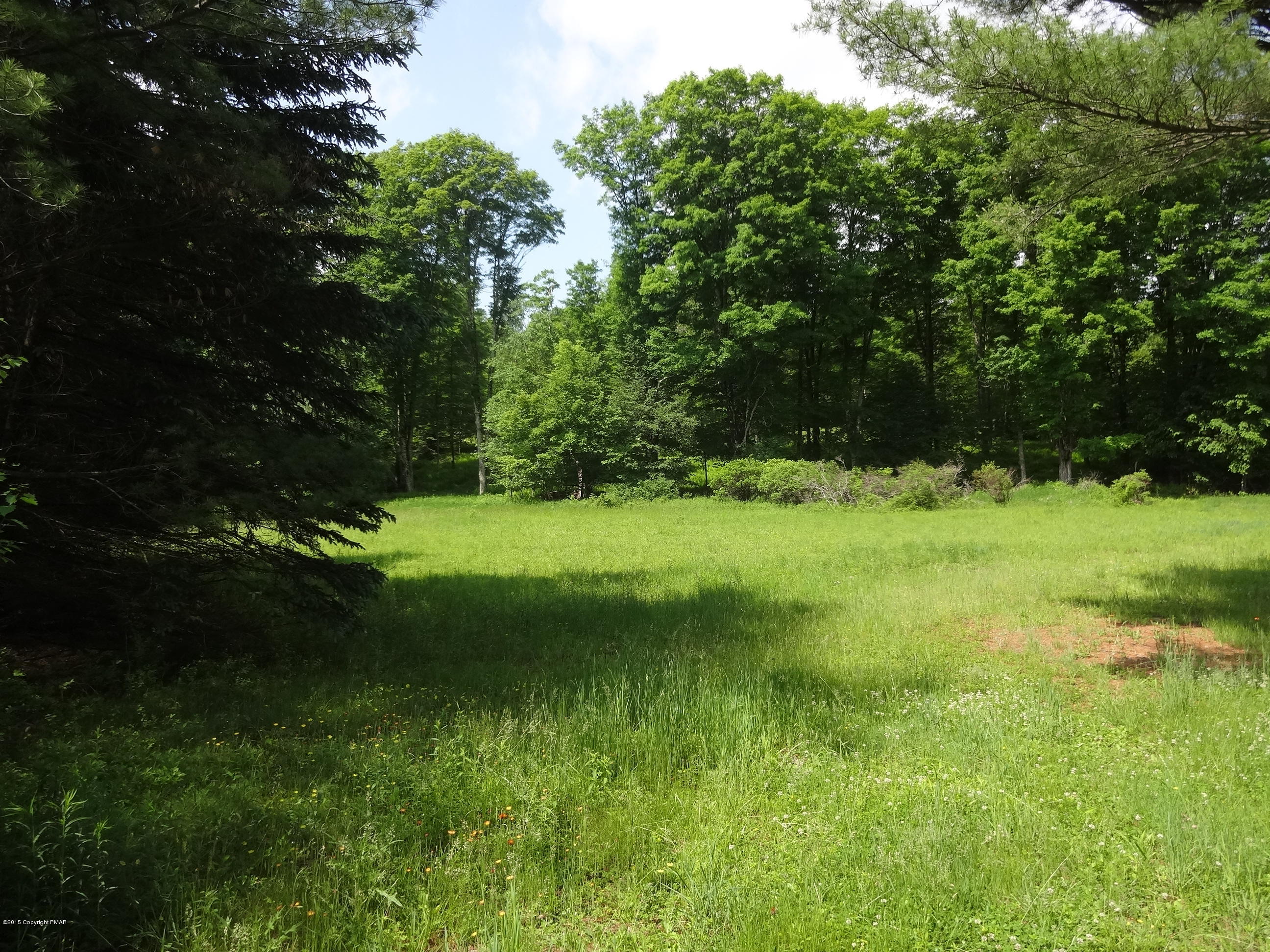 Old River Road Thornhurst, PA 18424 - Photo 3 of 3 DSC04344
