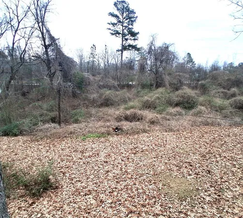 a view of a dry yard with trees