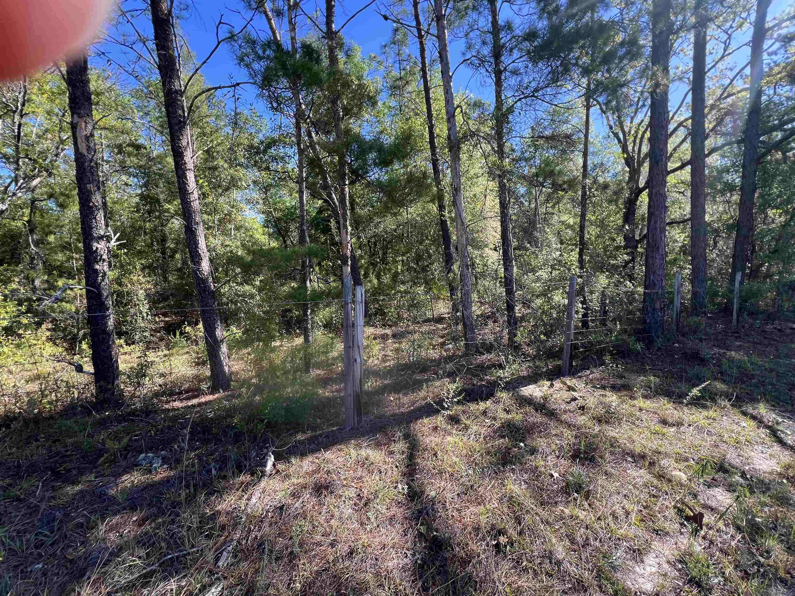 45 Old Federal Road Quincy, FL 32351 - Photo 3 of 8