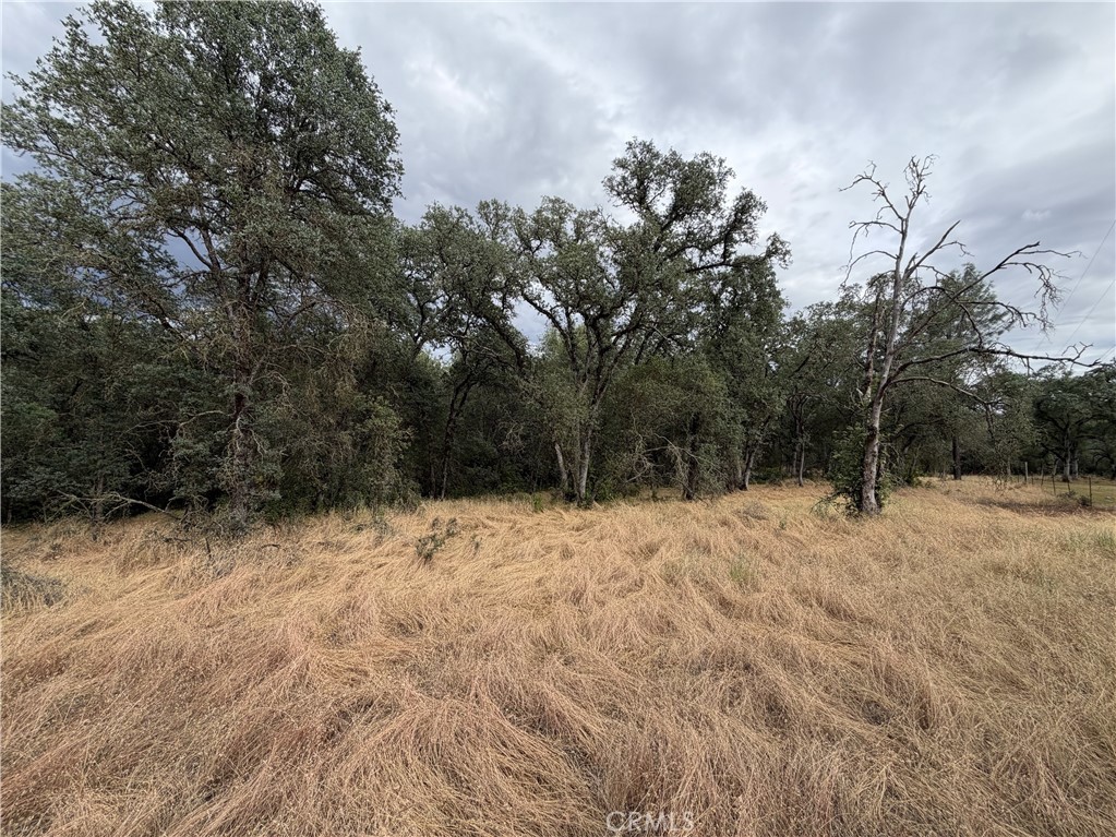 0 Ophir Road Oroville, CA 95966 - Photo 29 of 29 a view of a yard covered in snow