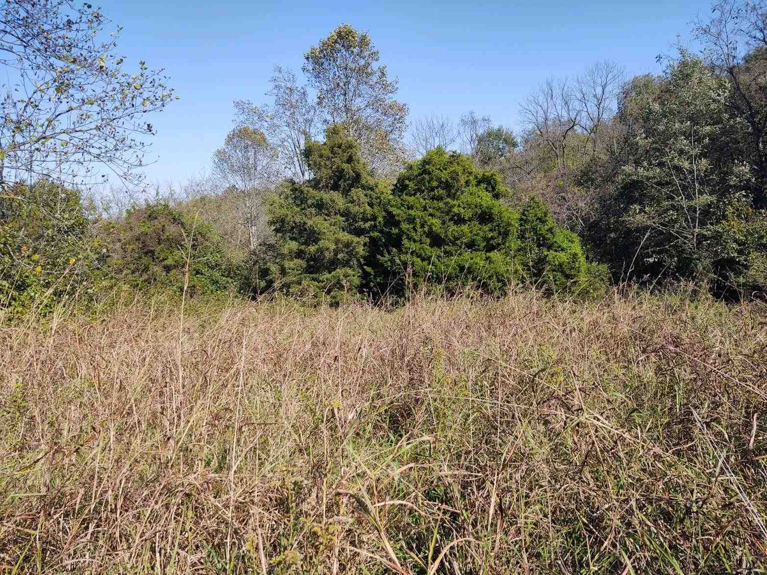 12163 Klein Road Morning View, KY 41063 - Photo 1 of 6 Gallery Image 1