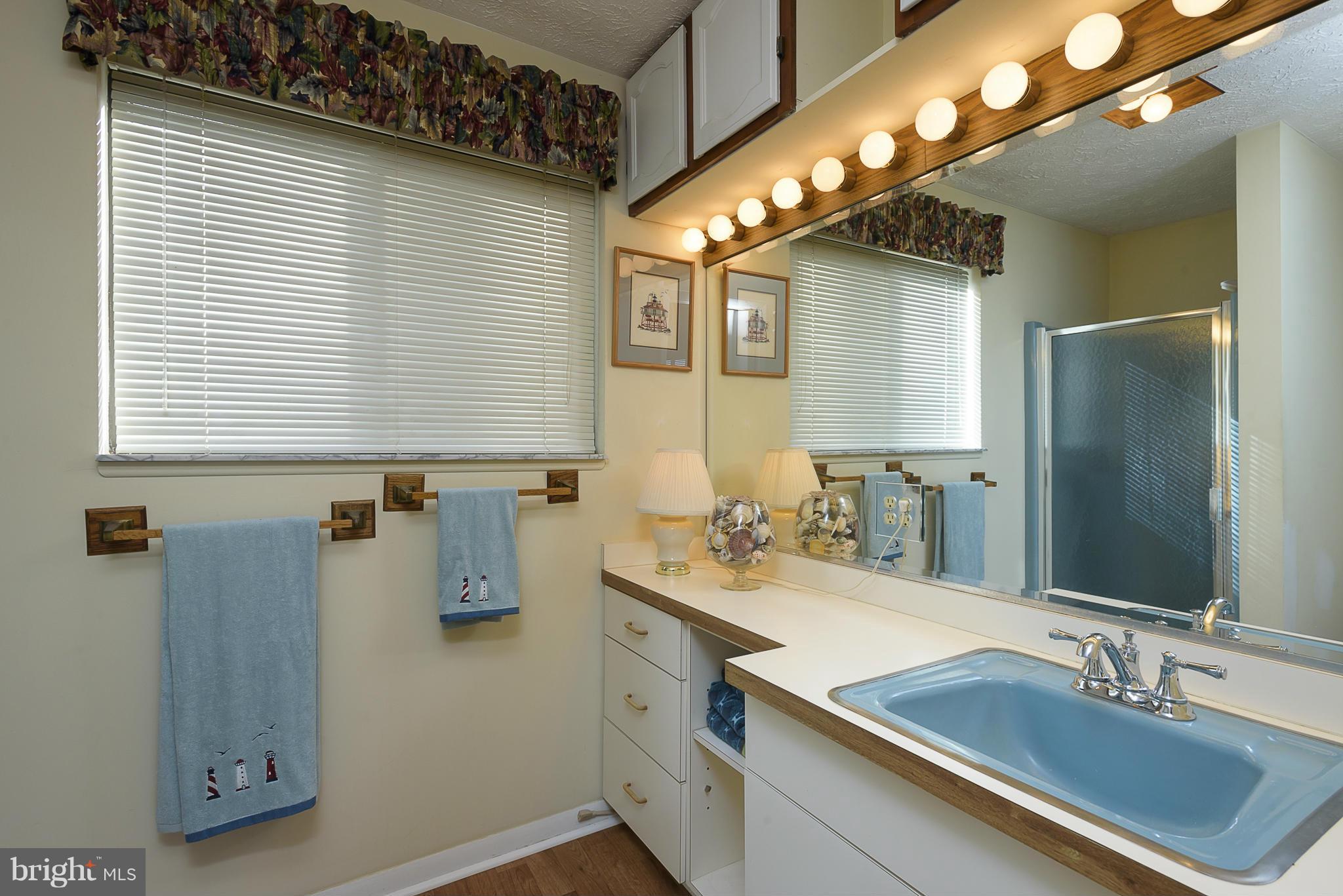 1042 Wiers Road Edgewater, MD 21037 - Photo 10 of 30 Bath (Master)