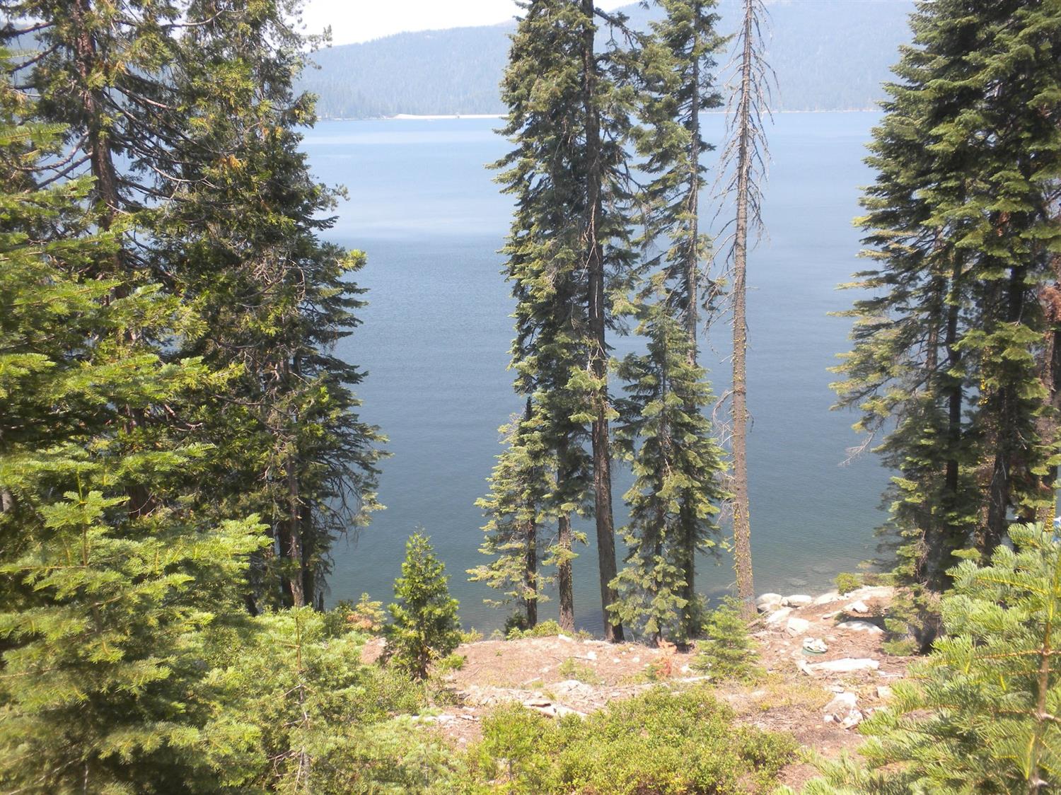 822 Mile High Road Bucks Lake, CA 95971 - Photo 6 of 8