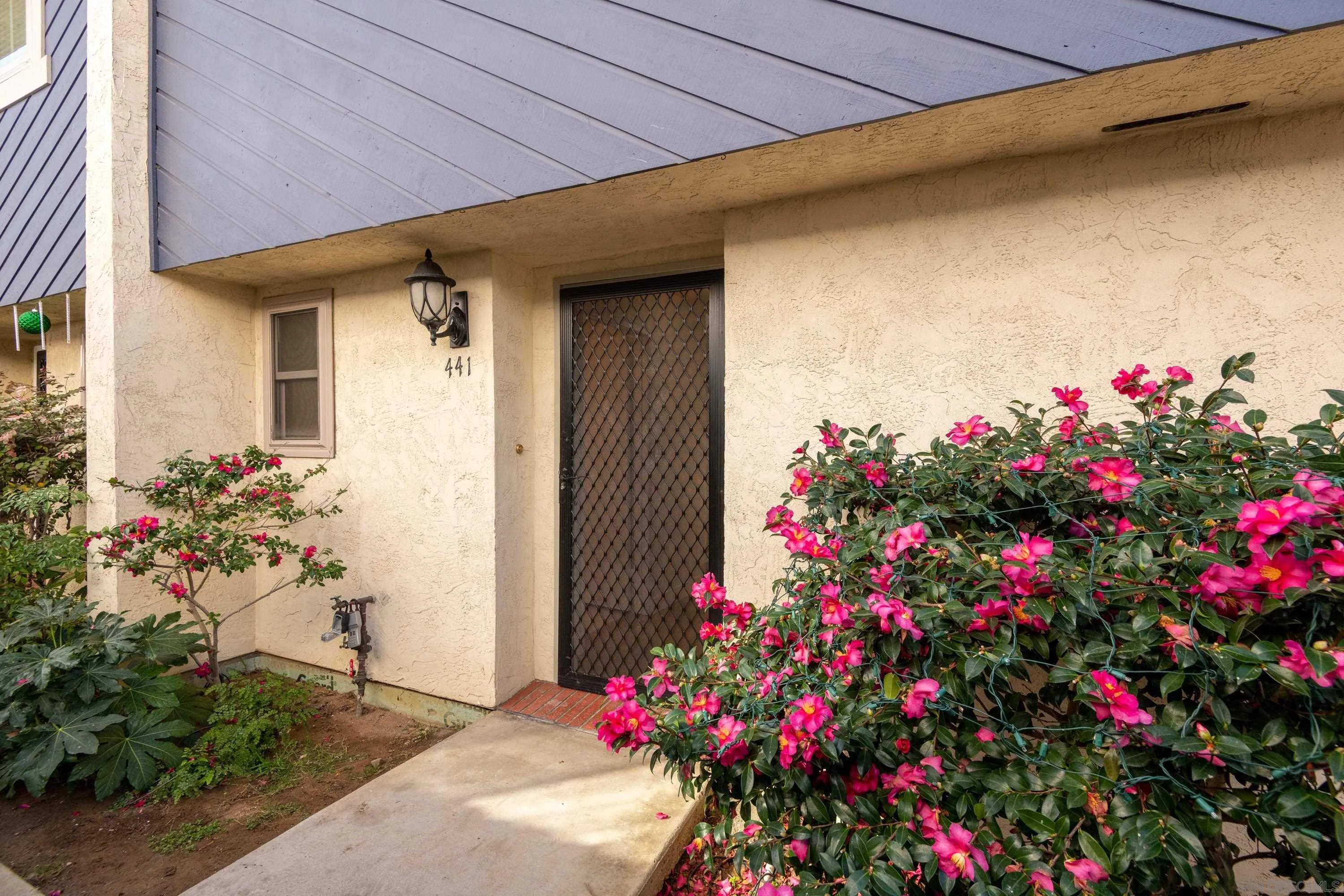 441 D Avenue Coronado, CA 92118 - Photo 19 of 24 a flower plants in front of a house