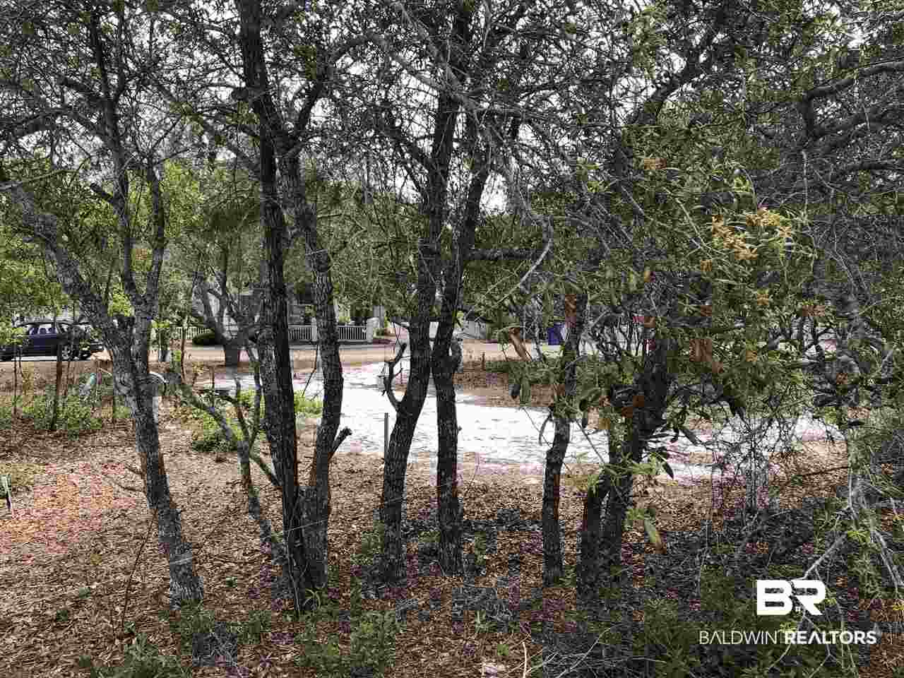 60 Parks Edge Orange Beach, AL 36561 - Photo 10 of 14