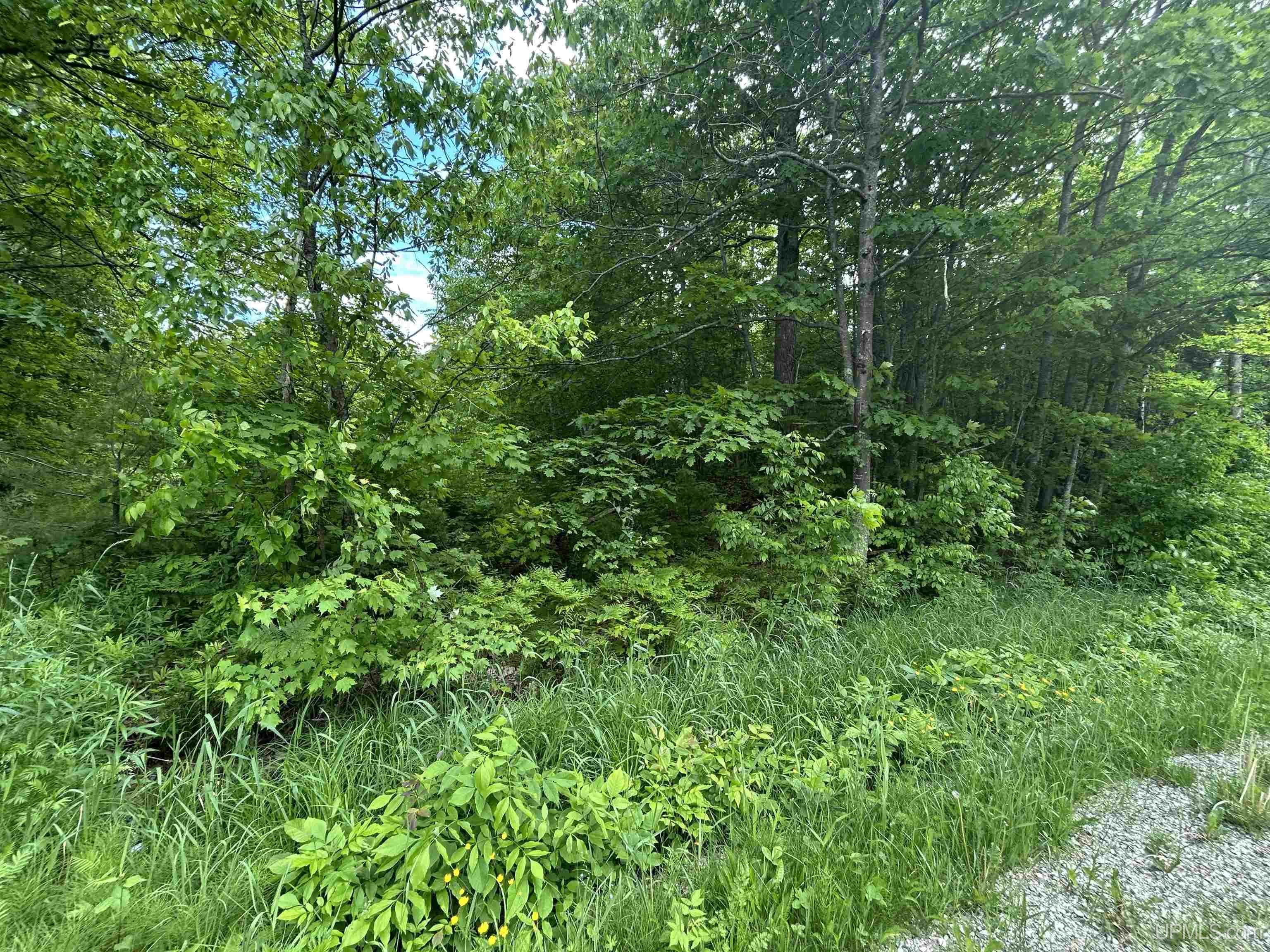 Tbd North Carlshend Road Skandia, MI 49885 - Photo 5 of 6