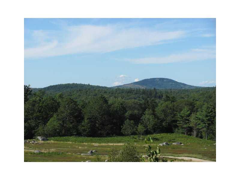 Lot 4- View