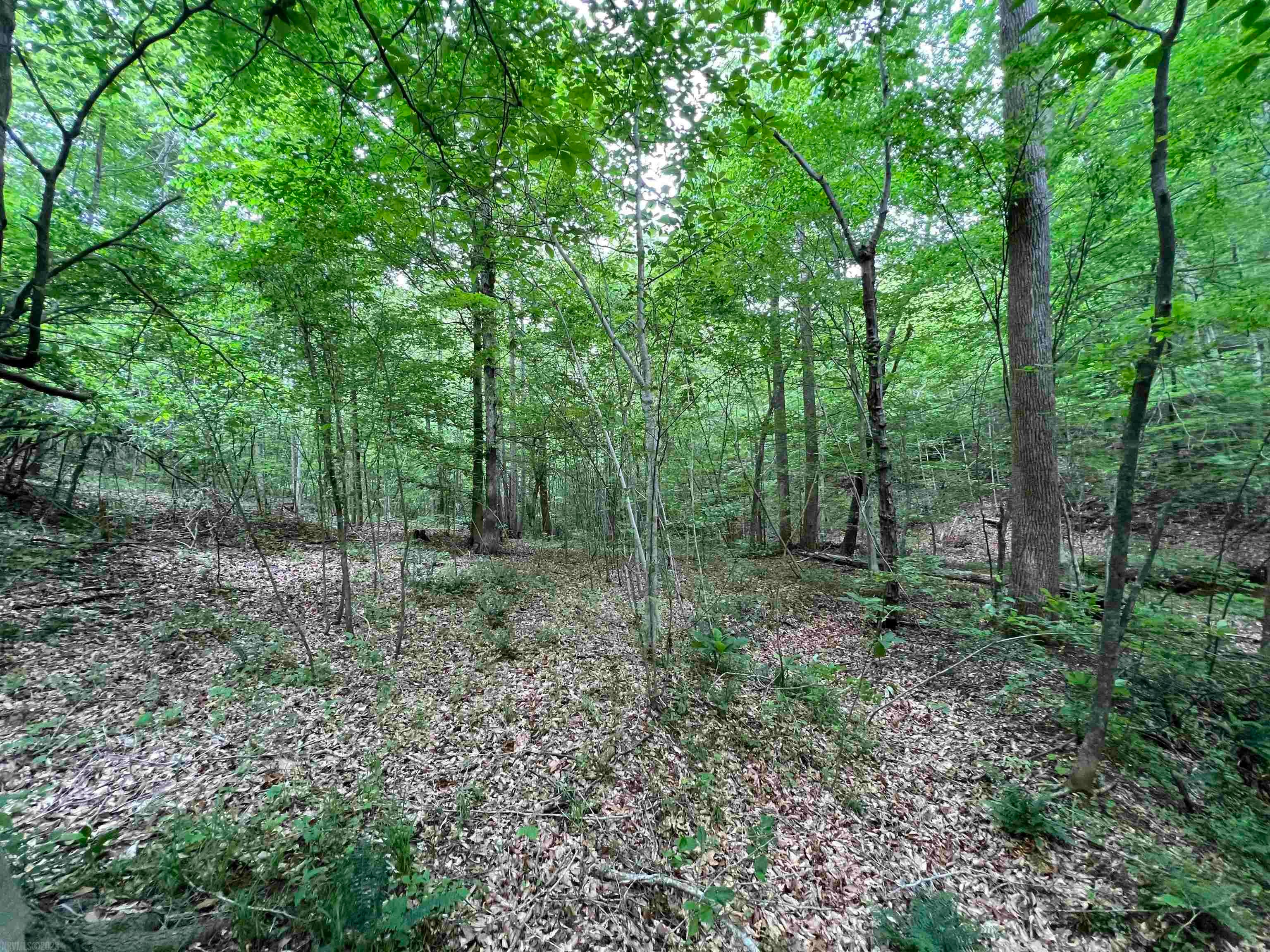 8 Truevine Road Penhook, VA 24137 - Photo 6 of 8 Gallery Image 6