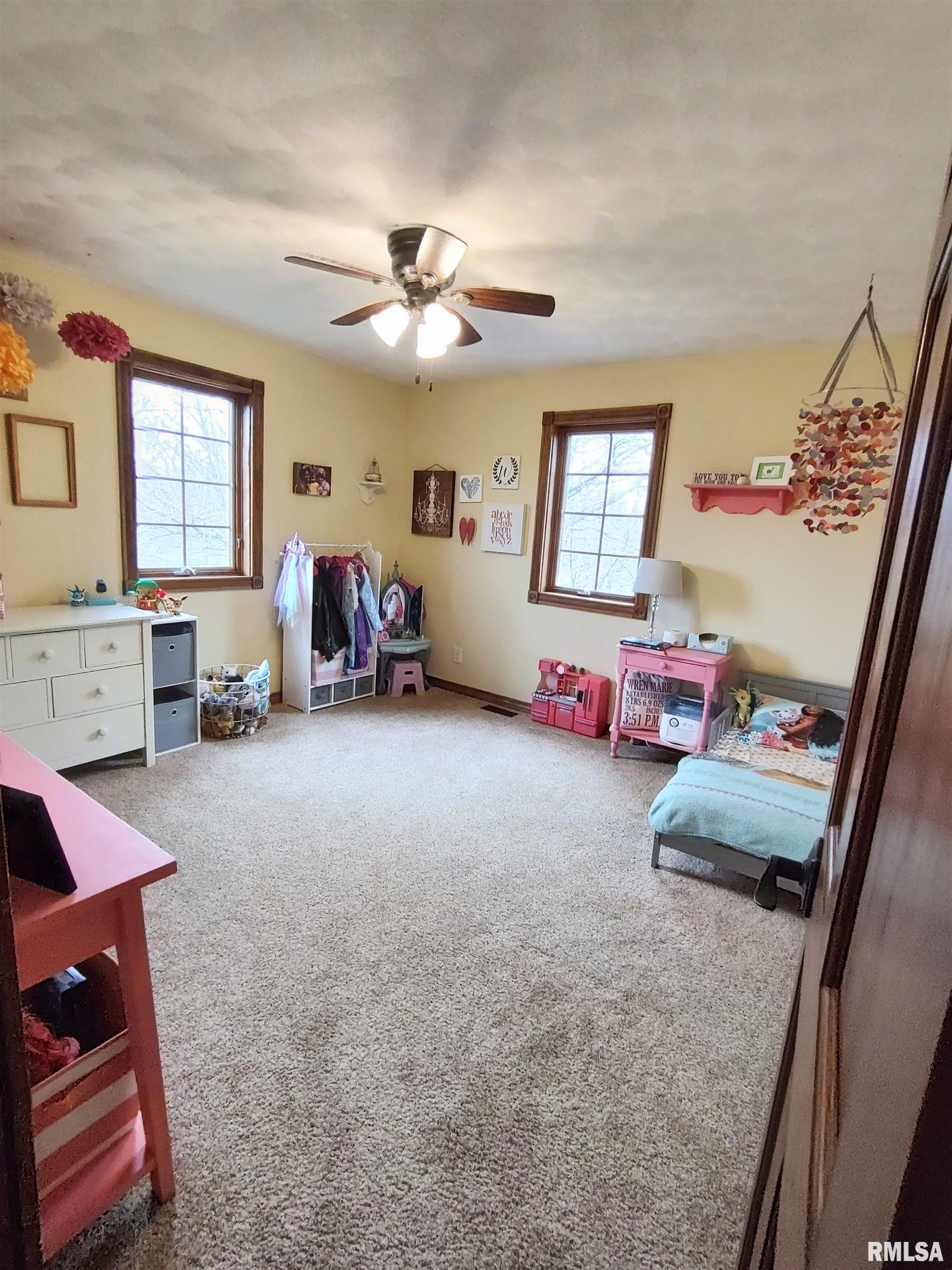 10483 Northpoint Road Tremont, IL 61568 - Photo 32 of 50