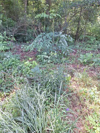 $40,000 | 0 Woodland Lake Drive, Shepherd, TX 77371