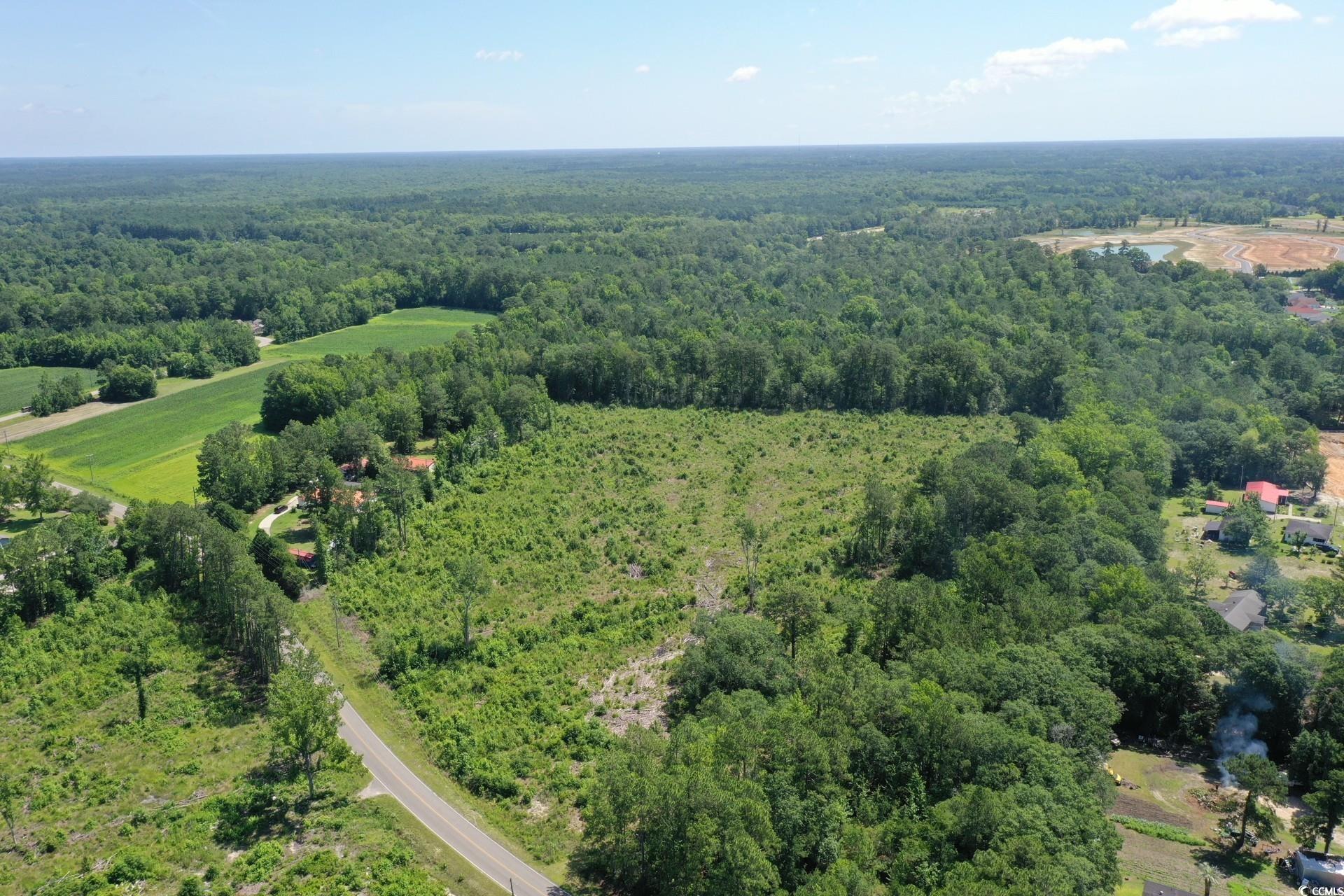 Tbd Pint Circle Longs, SC 29568 - Photo 12 of 20