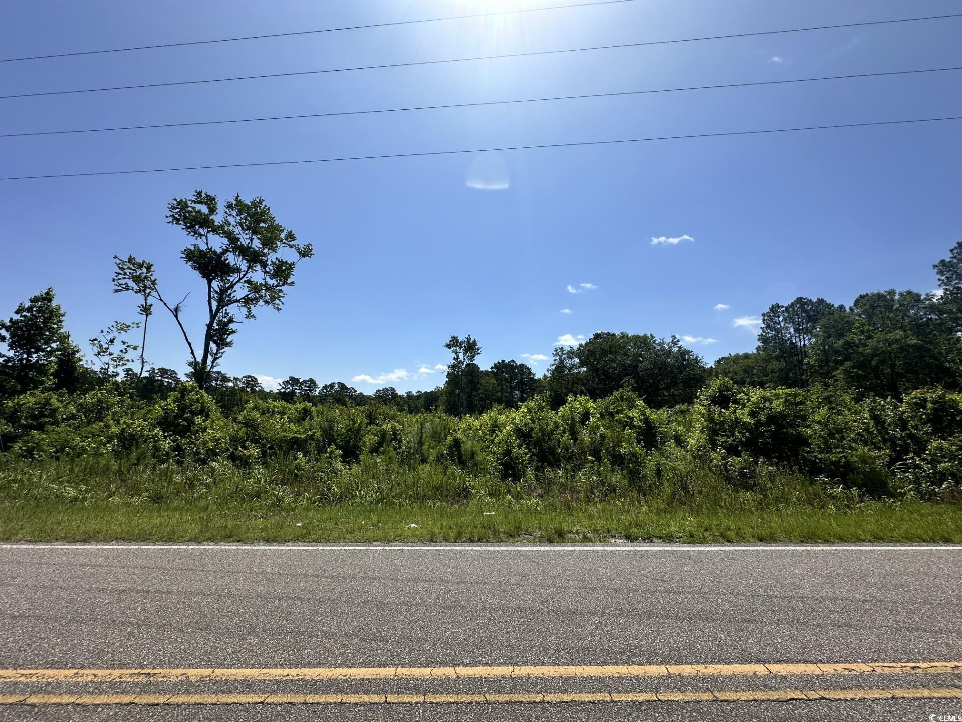 Tbd Pint Circle Longs, SC 29568 - Photo 18 of 20