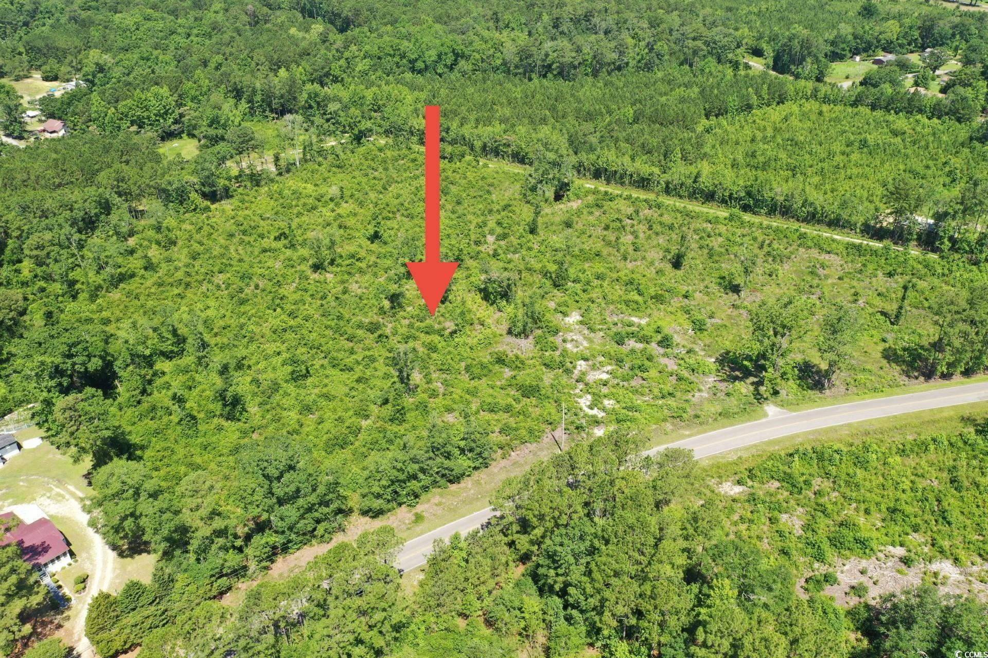 Tbd Pint Circle Longs, SC 29568 - Photo 4 of 20