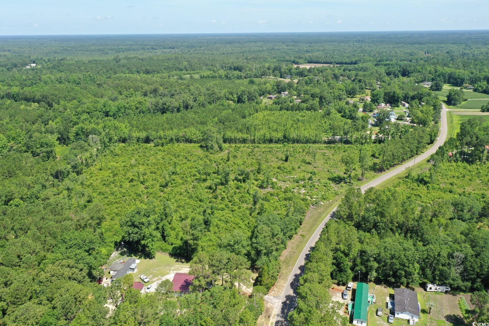 Tbd Pint Circle Longs, SC 29568 - Photo 5 of 20