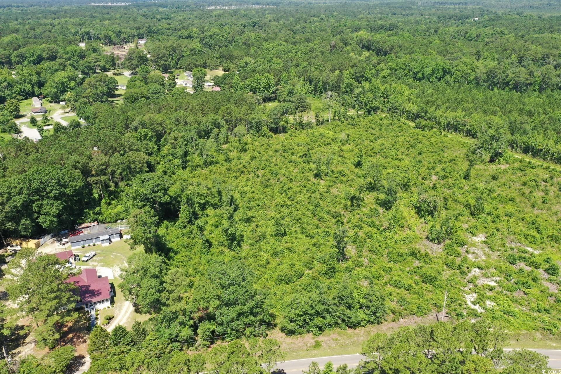 Tbd Pint Circle Longs, SC 29568 - Photo 7 of 20