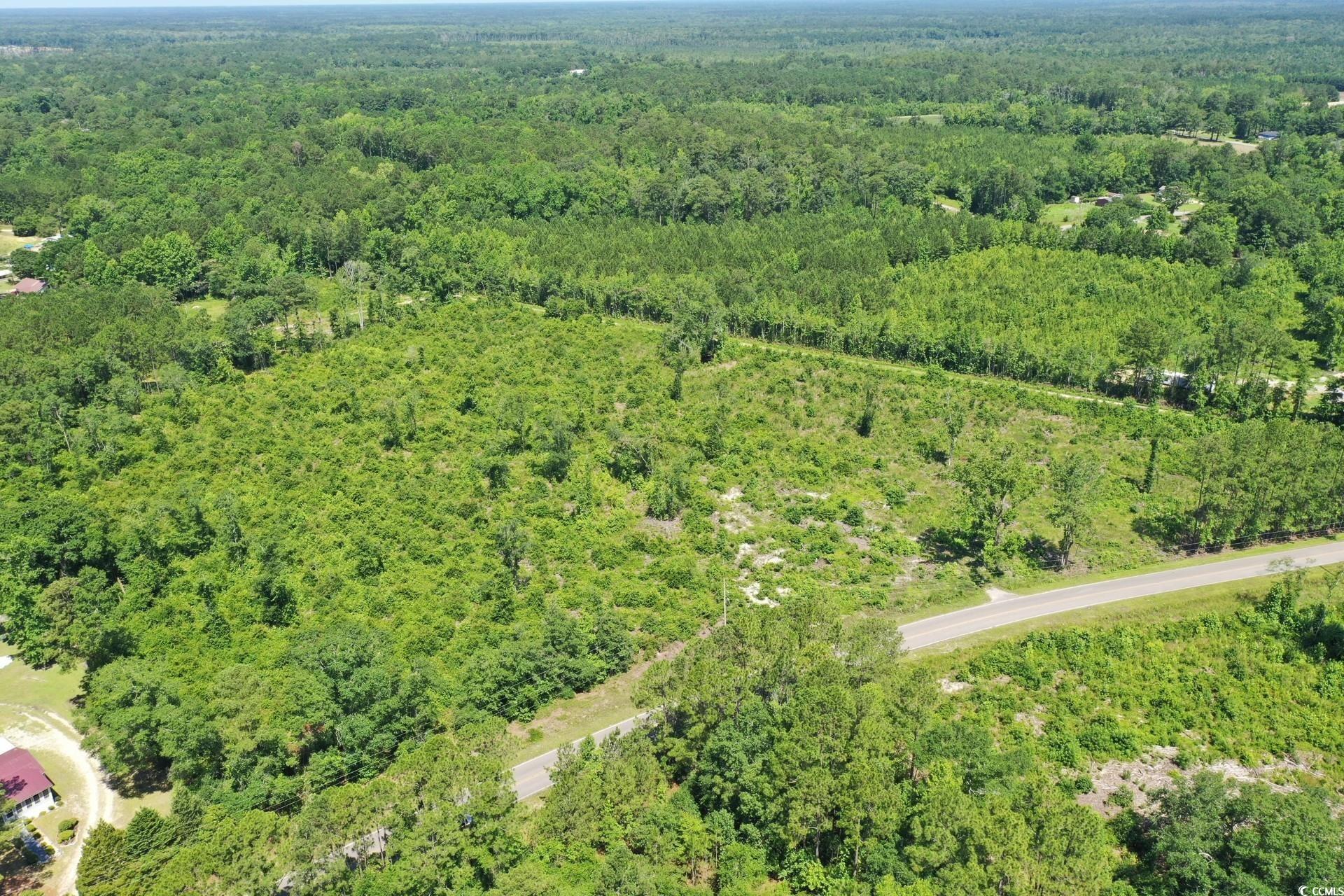 Tbd Pint Circle Longs, SC 29568 - Photo 8 of 20