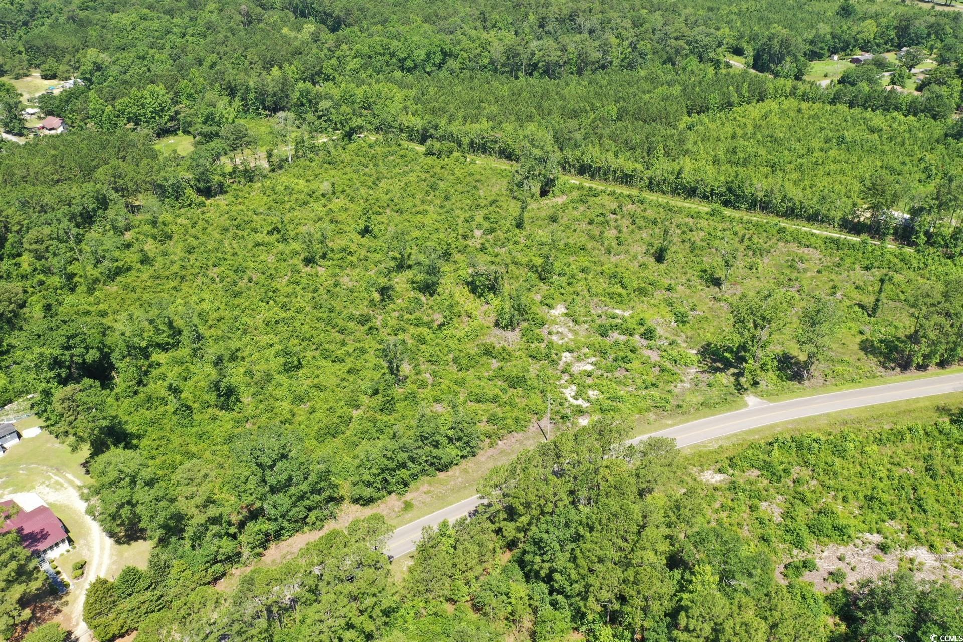 Tbd Pint Circle Longs, SC 29568 - Photo 9 of 20