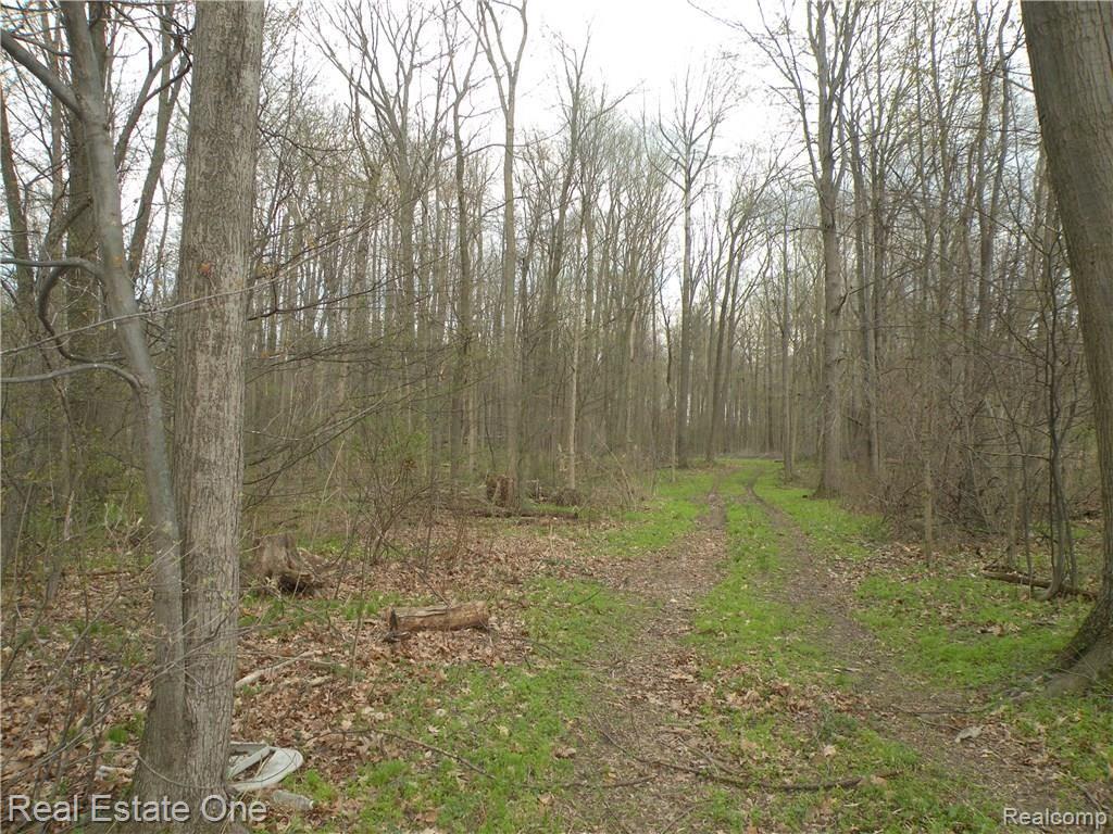 0 Mccormick Road Lapeer, MI 48446 - Photo 16 of 19