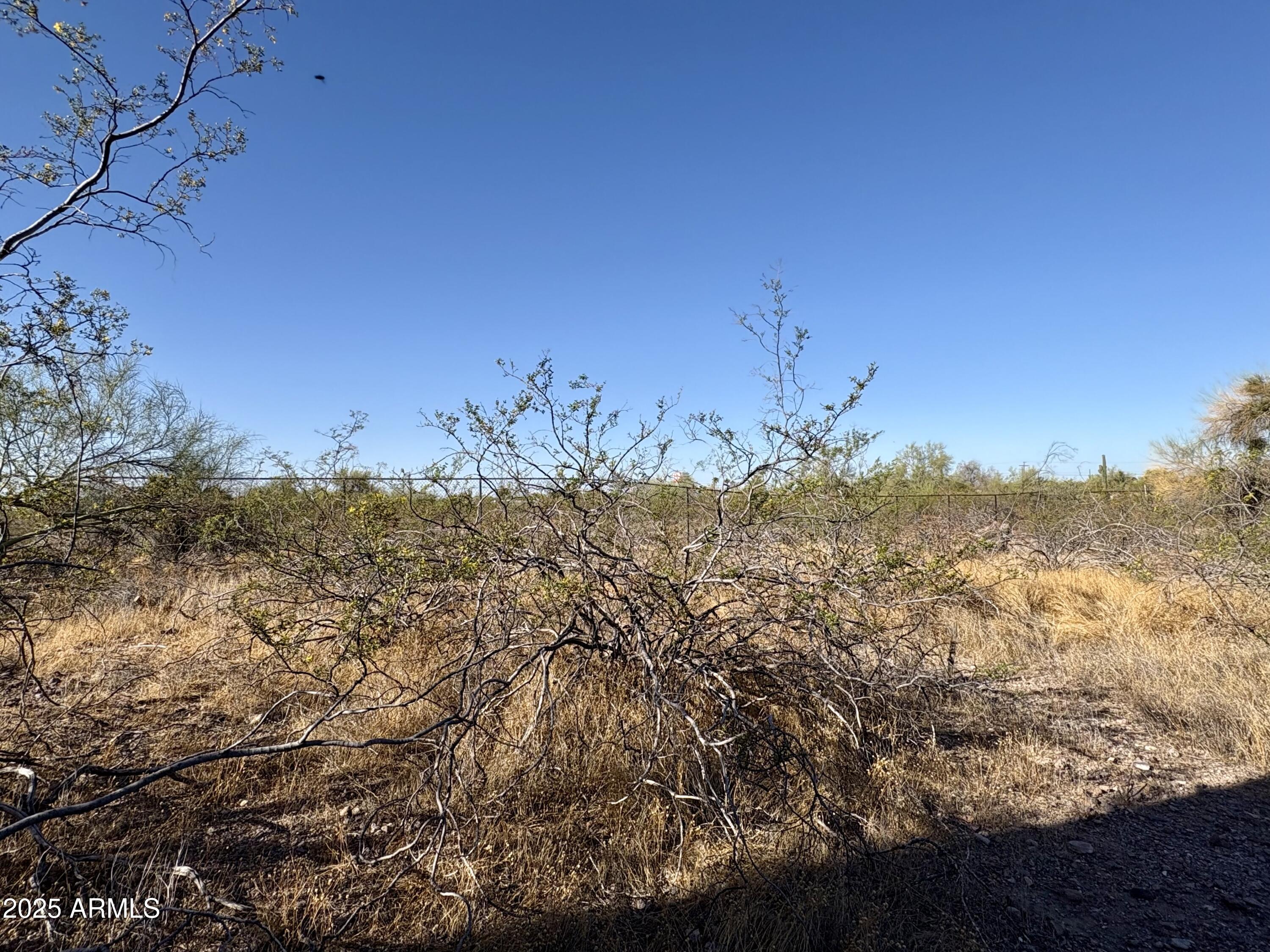 1558 South Conestoga Road Apache Junction, AZ 85119 - Photo 12 of 15 Gallery Image 12
