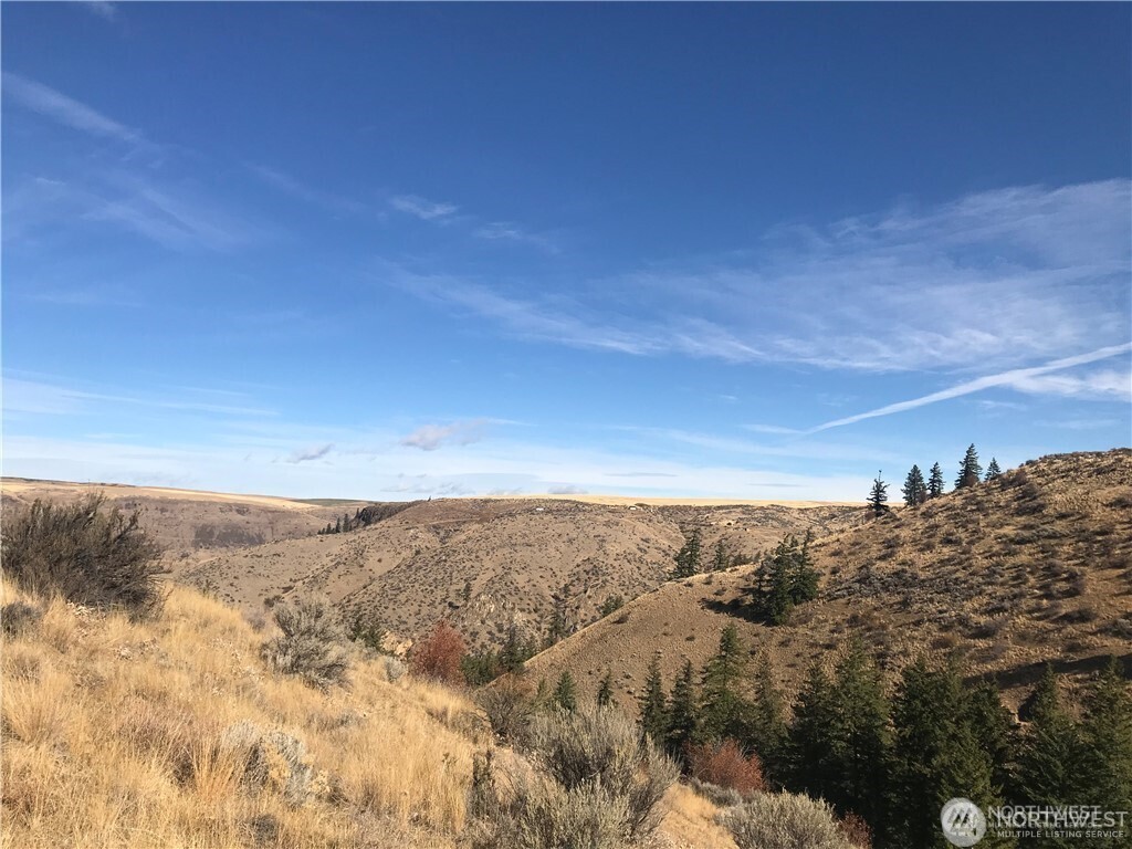 0 Goldfish Gulch Road Waterville, WA 98858 - Photo 7 of 9 Gallery Image 7