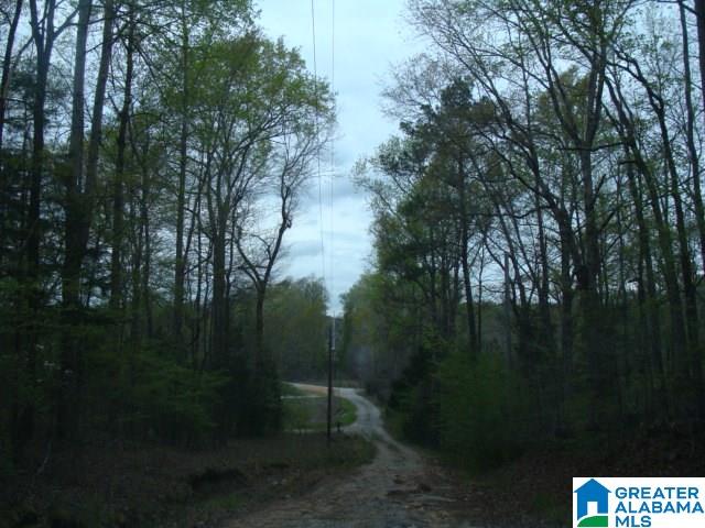 406 Caffe Ridge, Unit PARCEL Woodstock, AL 35188 - Photo 24 of 30