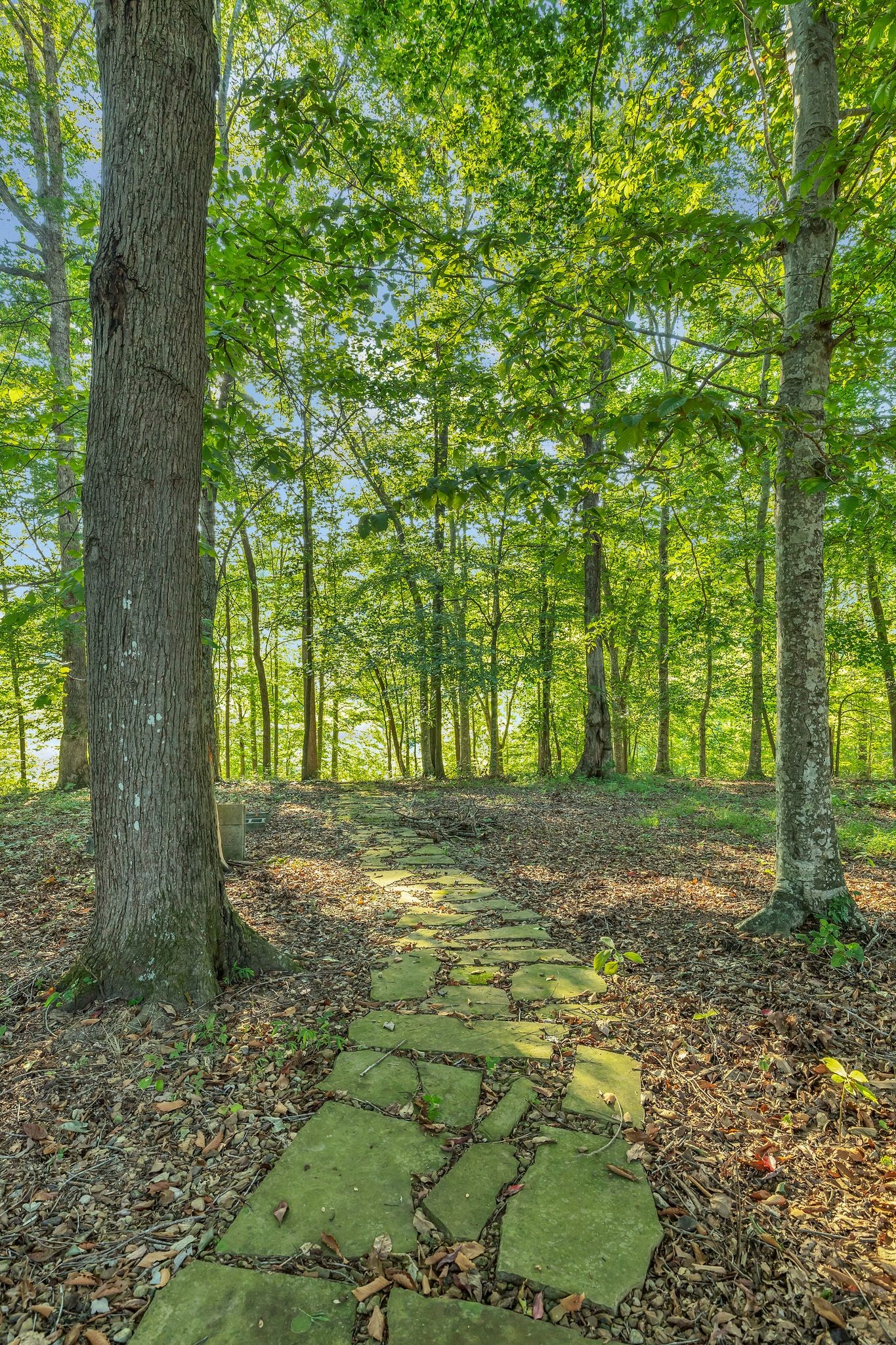 2124 Boswell Road Winchester, TN 37398 - Photo 68 of 71 Gallery Image 68