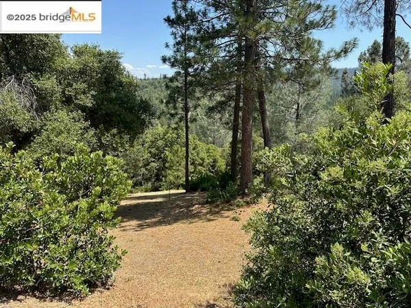 $12,000 | 12064 Hillhurst Circle, Groveland, CA 95321