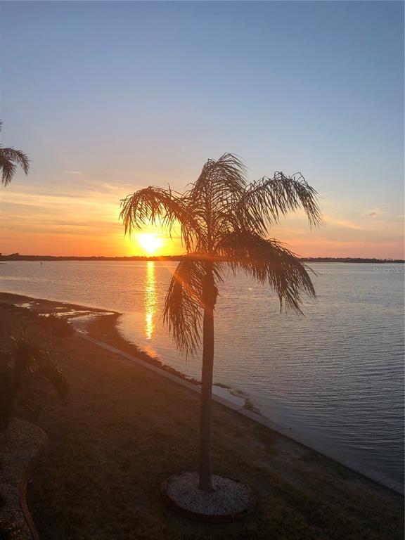 7 Dunoon Place, Unit 203 Dunedin, FL 34698 - Photo 2 of 28