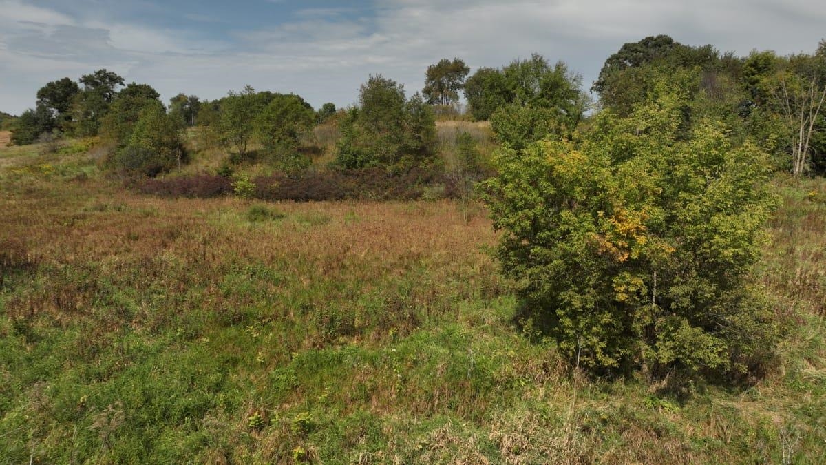 12.53-ac County Rd HH Hillsboro, WI 54634 - Photo 12 of 37