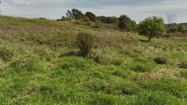 $55,000 | 12.53-ac County Rd HH, Hillsboro, WI 54634