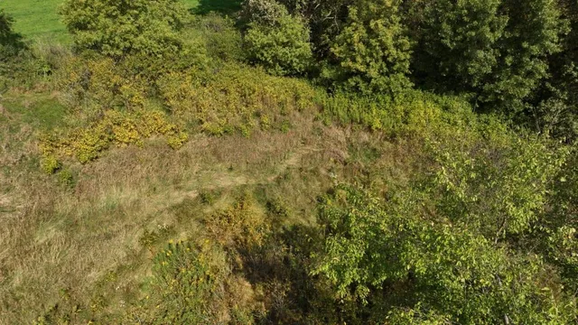 $55,000 | 12.53-ac County Rd HH, Hillsboro, WI 54634