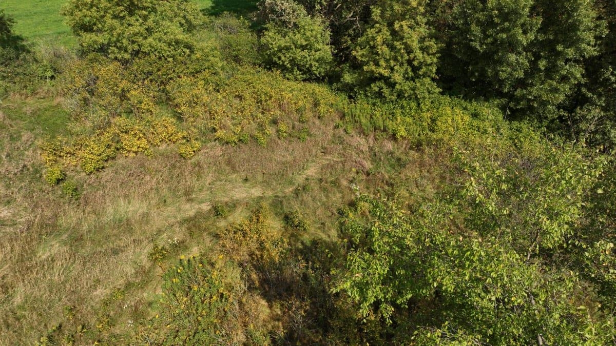 12.53-ac County Rd HH Hillsboro, WI 54634 - Photo 22 of 37