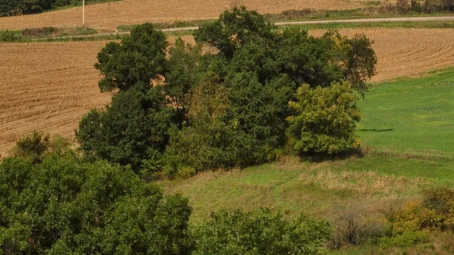 $55,000 | 12.53-ac County Rd HH, Hillsboro, WI 54634