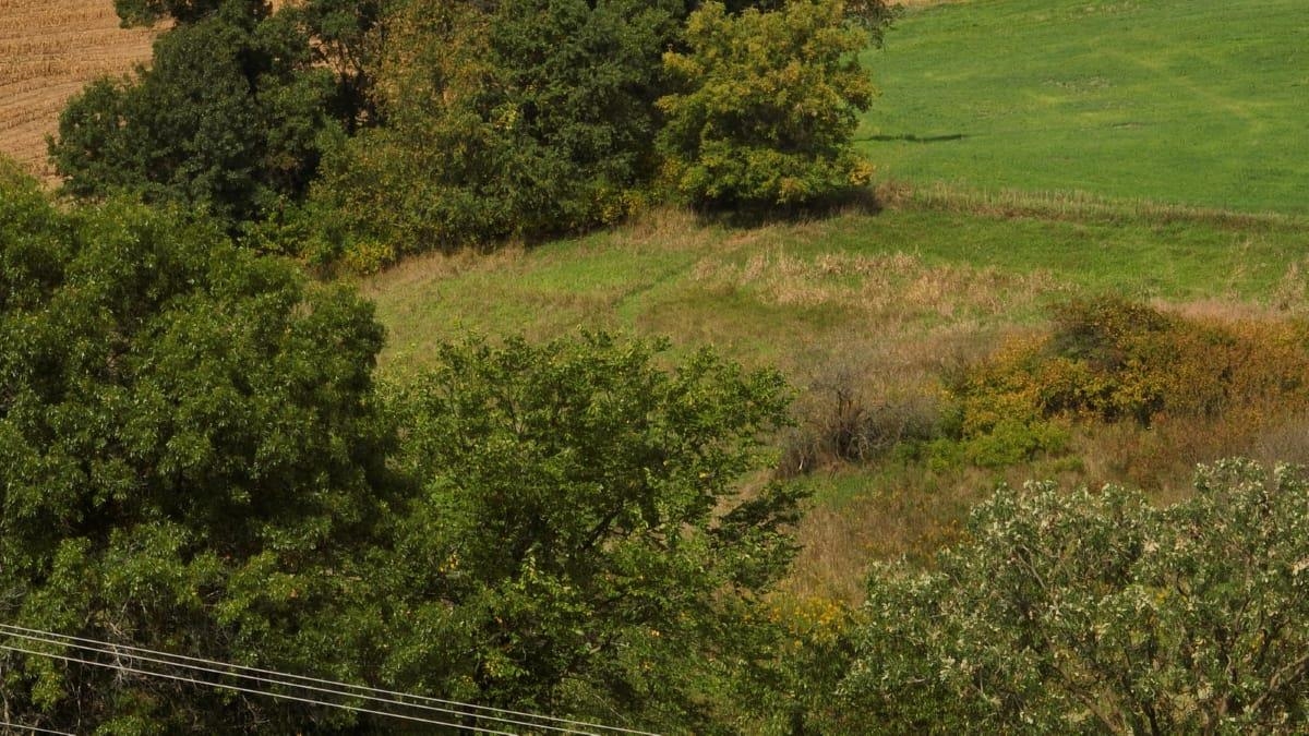 12.53-ac County Rd HH Hillsboro, WI 54634 - Photo 27 of 37