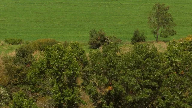 $55,000 | 12.53-ac County Rd HH, Hillsboro, WI 54634