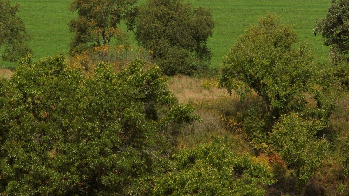 12.53-ac County Rd HH Hillsboro, WI 54634 - Photo 3 of 37