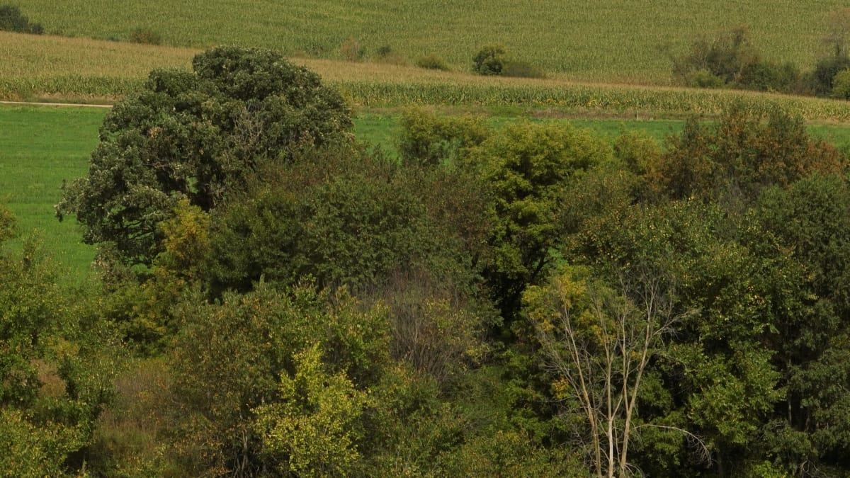 12.53-ac County Rd HH Hillsboro, WI 54634 - Photo 4 of 37