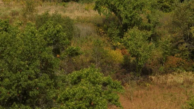 $55,000 | 12.53-ac County Rd HH, Hillsboro, WI 54634