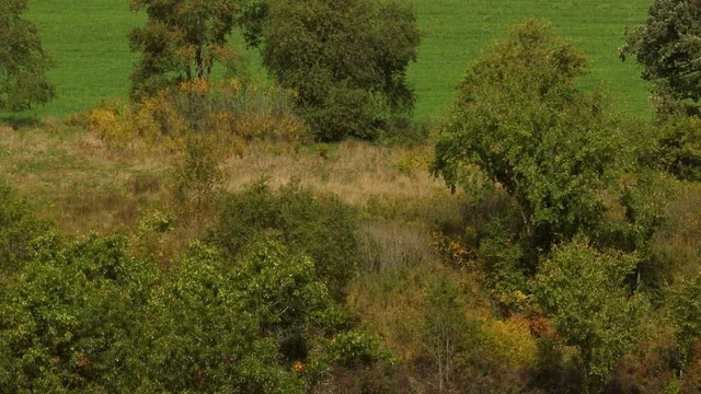 $55,000 | 12.53-ac County Rd HH, Hillsboro, WI 54634