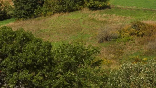 $55,000 | 12.53-ac County Rd HH, Hillsboro, WI 54634