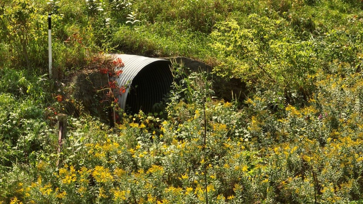 12.53-ac County Rd HH Hillsboro, WI 54634 - Photo 10 of 37