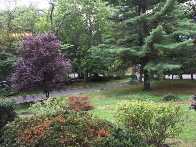 58 Quaker Bridge Road Ossining, NY 10562 - Photo 7 of 8