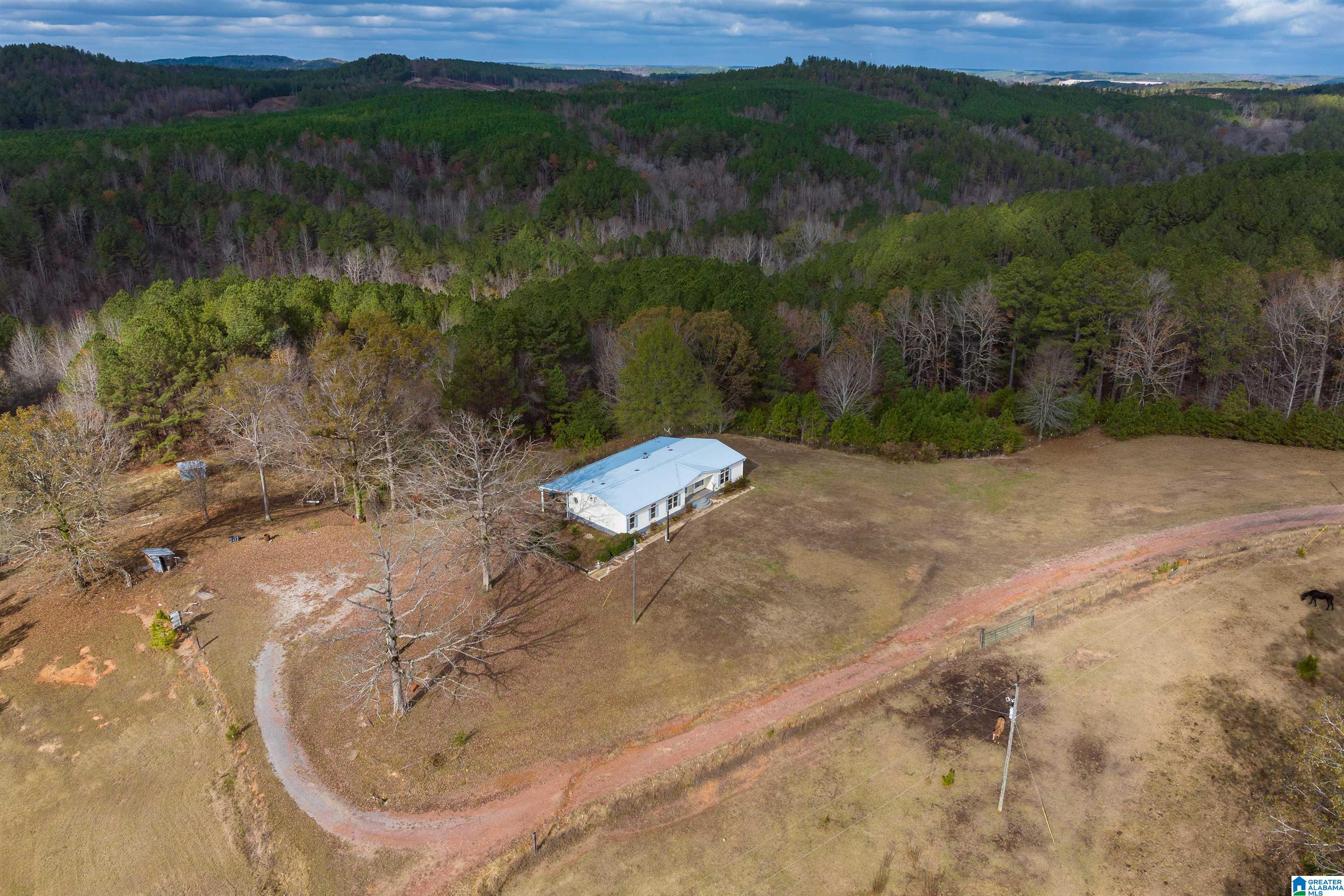 2930 Pridmore Road Quinton, AL 35130 - Photo 32 of 46