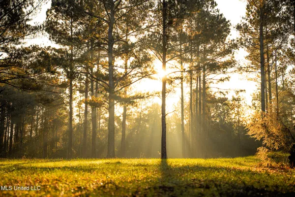 $463,600 | Newton Caney Creek Road, Decatur, MS 39327