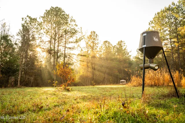 $463,600 | Newton Caney Creek Road, Decatur, MS 39327